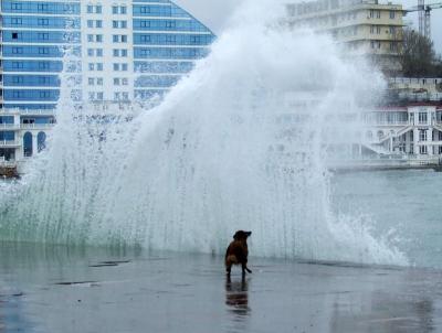 Прикрепленное изображение: A075.jpg